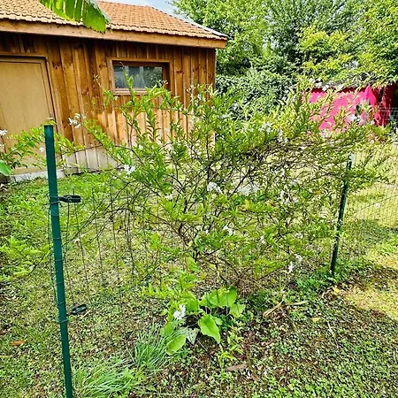 With Wifi Near Town Center And Wine Museum Bordeaux